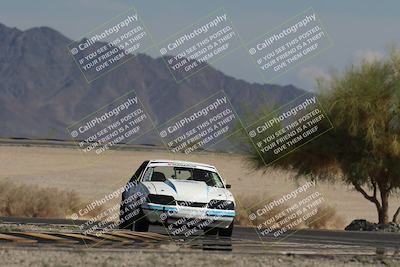 media/Oct-12-2025-Lucky Dog Racing (Sun) [[8adb5568ea]]/3-Third    Stint/4-Turn 4 (Tree of Life)/